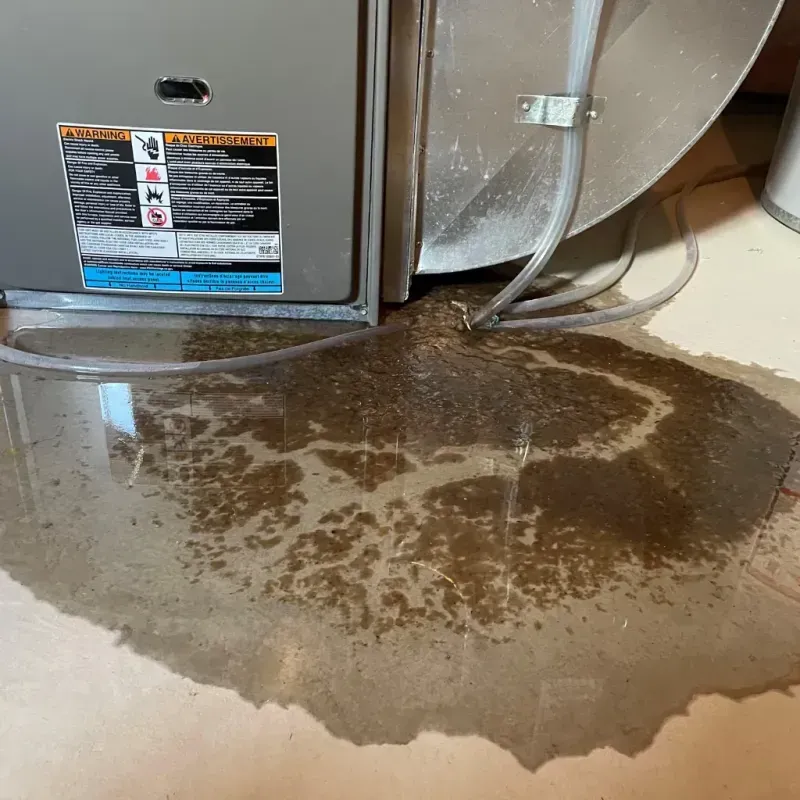 Appliance Leak Cleanup in Lafayette County, FL